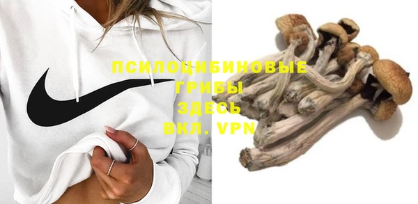 mdpv Костерёво