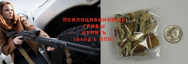mdpv Костерёво