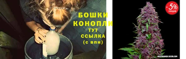 mdpv Костерёво