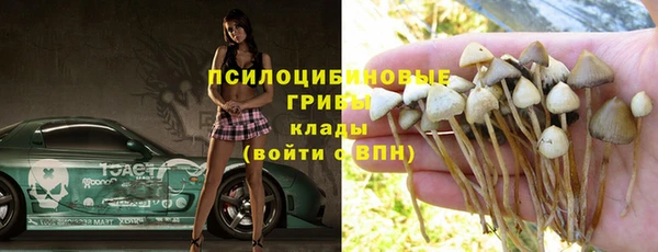 mdpv Костерёво